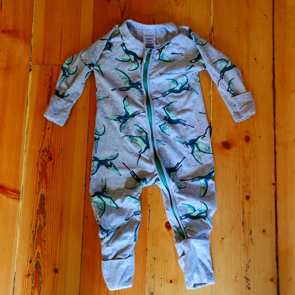 Bonds Dinosaur print Wondersuit